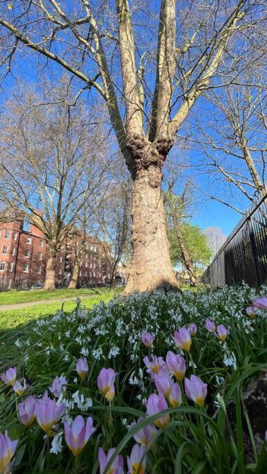 Peaceful Bright City Hide Away With Parking Londra